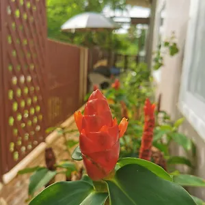 Inn De​ Lanta Place, Koh Lanta